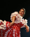 flamenco optreden prijs
