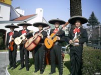mariachi muziek en dans