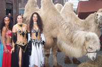 arabische themafeest